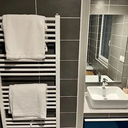 Spacieuse Avec Piscine En Centre Ville Villa